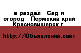  в раздел : Сад и огород . Пермский край,Красновишерск г.